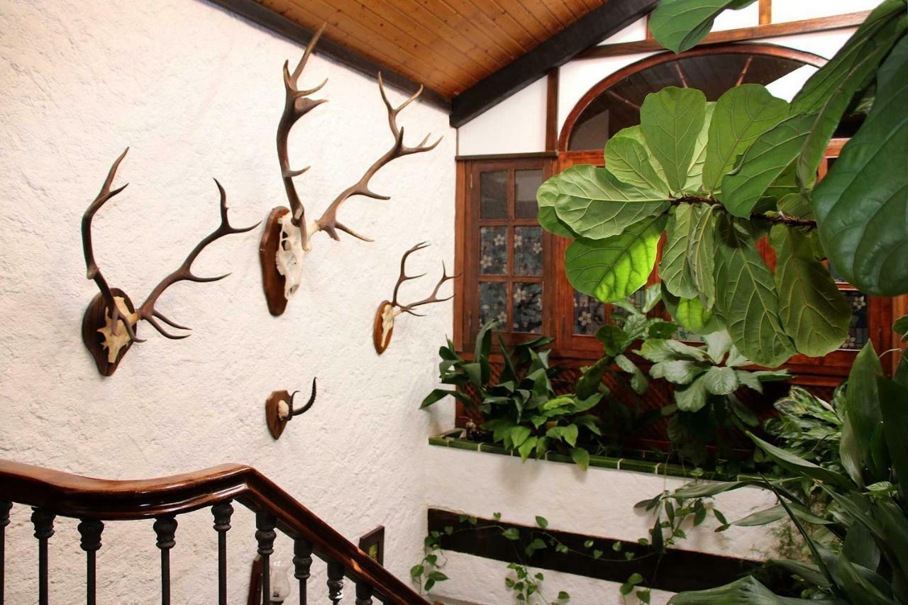 Maison d'hôtes Molino Rodete à Jimera de Líbar Extérieur photo